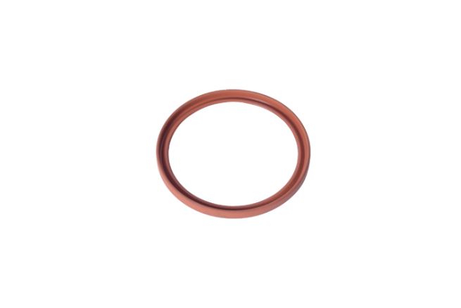 [IBRAS 11477] Fluence Duster 1.5 Turbo Oring Conta 7701071157