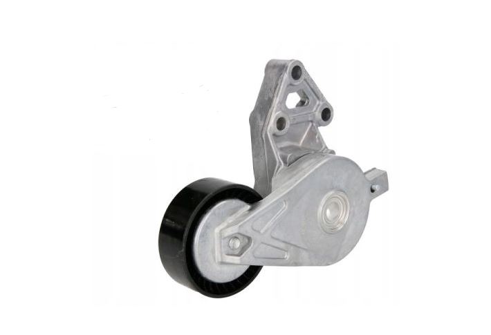 Alternatör Gergi Rulmanı Kütüklü Golf 98-06 Transporter T5 T6 03-15 Audi A3 97-03 Leon 00-05 038903315AE