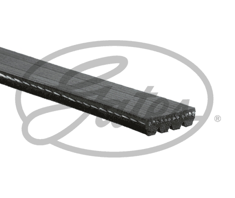 R21 Klima Kayışı 4Pk878