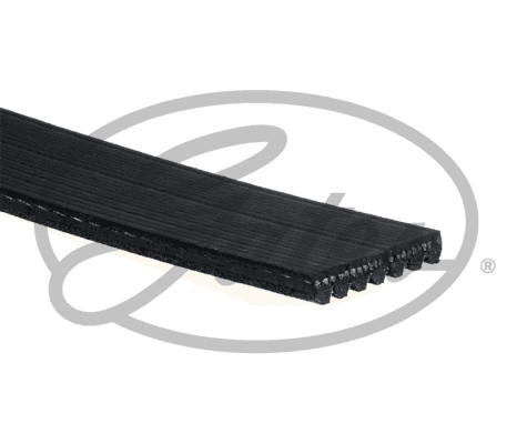 [GATES 7PK1675] Talisman Kadjar Trafic 1.6 2010- Alternatör Kayışı 7Pk1675 119204796R