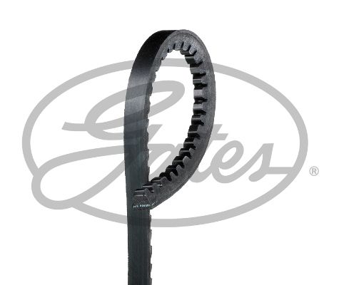 [GATES 6227MC] R19 Motor Kayışı Tırtıllı 1175 7700697947