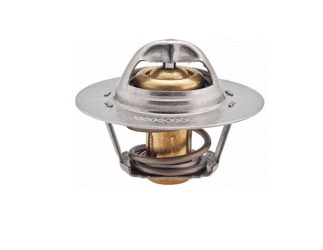 [VERNET TH5108.89J] R11 Flash Golf 4 Bora AKL BSE Termostat 89 7700723945