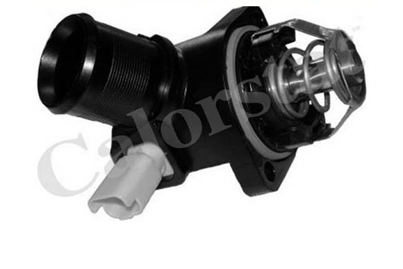 P206 P306 C2 C3 1.6 16V (98-13) Termostat Kapağı Muşurlu Komple 1336.Z2