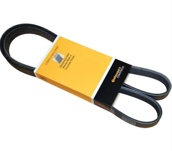 Master 2 2003-2010 Alternatör Kayışı 7Pk1113