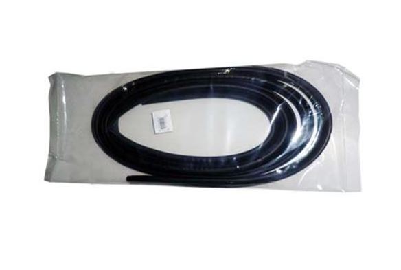 [AUTO FT176-103] R12 Kapı Fitili Takım 7700586846