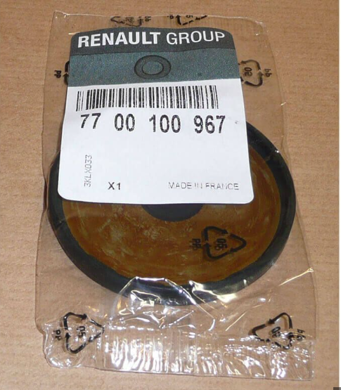 [7700100967] Laguna 1 N7Q Silindir Kapak Tapası Büyük 7700100967 Orjinal