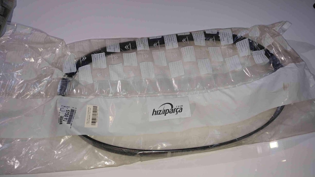 [5750.YJ] P207 P307 C2 C3 Alternatör Kayışı 6Pk1090 5750.Yj Orjinal