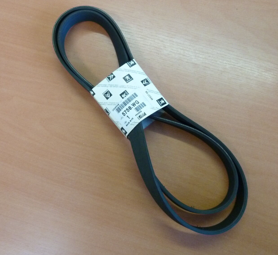 [5750.WG] P106 P206 P306 C2 C3 1.4 8V (96-10) Alternatör Kayışı 6Pk1565 5750.Wg Orjinal