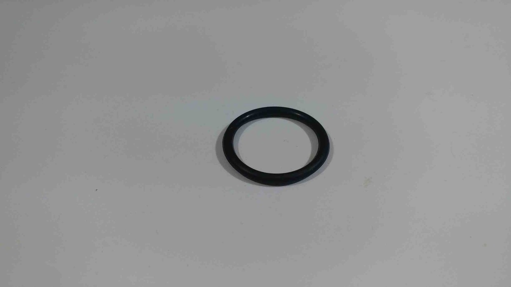 R12 Oring İnce Lastik (Kilometre Dişli Yuvası İçin)