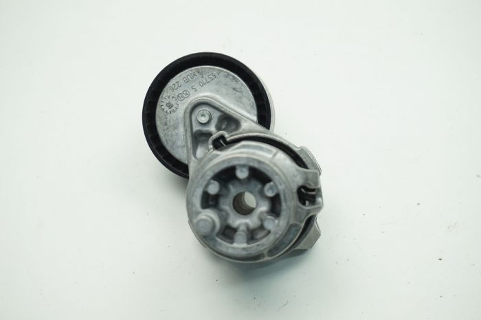 [117506193R] Clio Kadjar 1.2 Tce H5F Alternatör Gergi Rulmanı (Kütüklü) 117506193R Orjinal