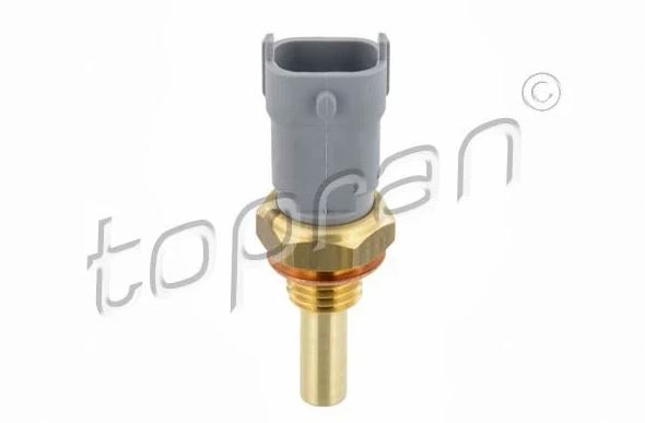 Ducato Boxer Jumper Hararet Muşuru ( Isı Muşuru) 1338467