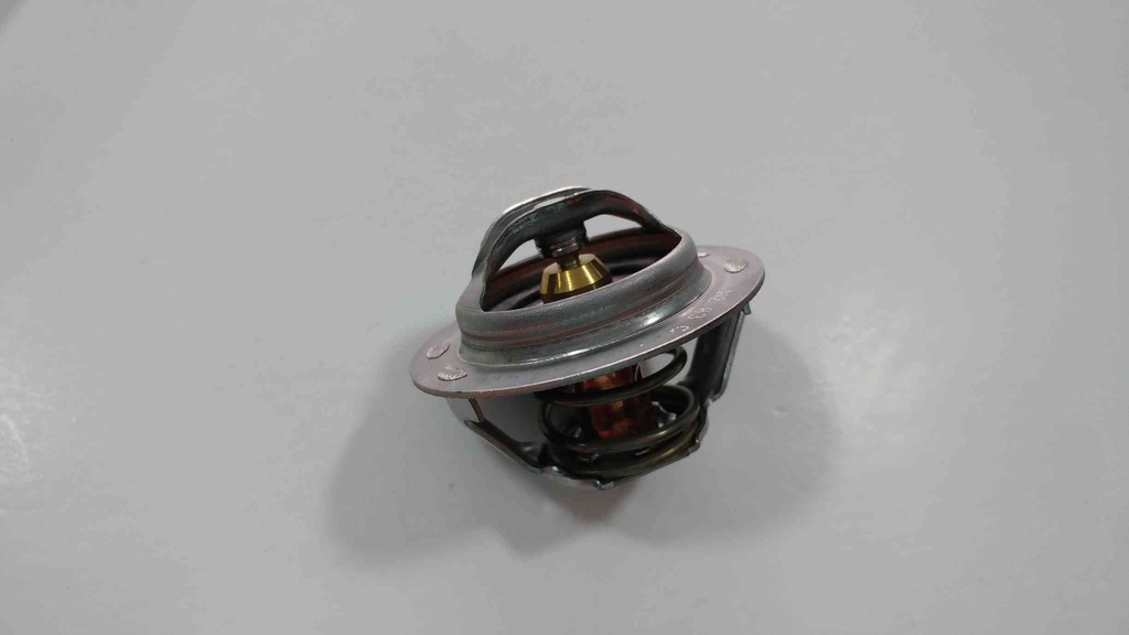 P306 P406 Xsara 2.0 16V Termostat 1338.39 Orjinal