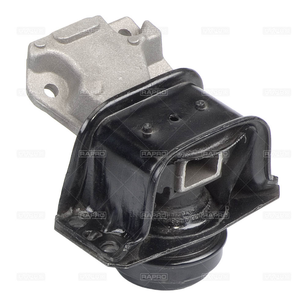 [RAPRO 59865] P307 C4 (2000-2007) 1.6 16V Motor Takozu Sağ Yağlı 1839.J1