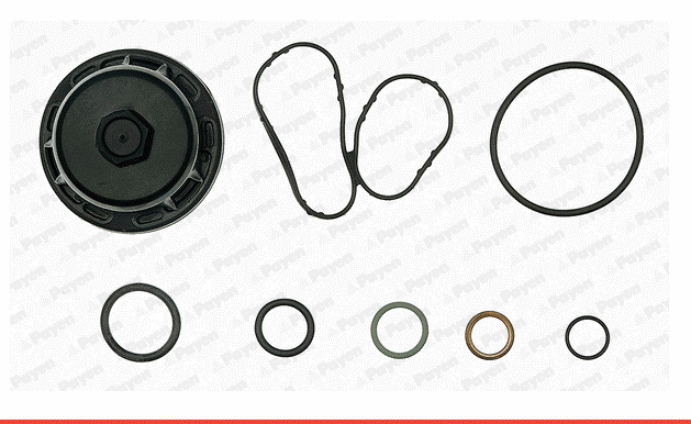 [PAY EG9760] Master 3 2010- M9T 2.3 Trafic 2.0 M9R Motor Takım Conta Alt 101013580R (Ön Krank Keçe İçinde)