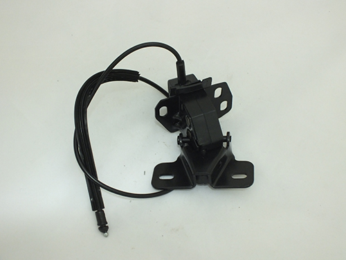 [OEK 254298400R] Clio 4 Captur Lodgy Cam Kilitleme Anahtarı 254298400R Oek