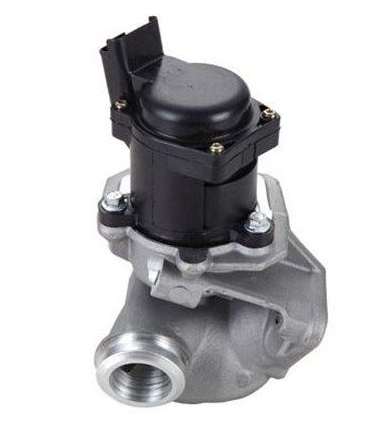 P107 P1007 P207 P206 Bipper C3 (1-2-3) Nemo Dv4Td 1.4 Hdi Egr Valfi 1618.N8