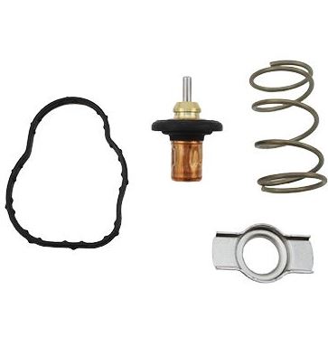 Clio 4 Duster Dokker Euro 5 Termostat ( İç Kısmı Gövdesiz ) 110602770R